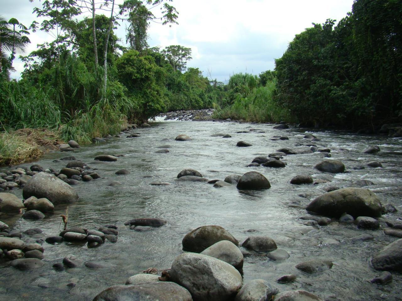 Horquetas River Lodge ซาราปิกี ภายนอก รูปภาพ