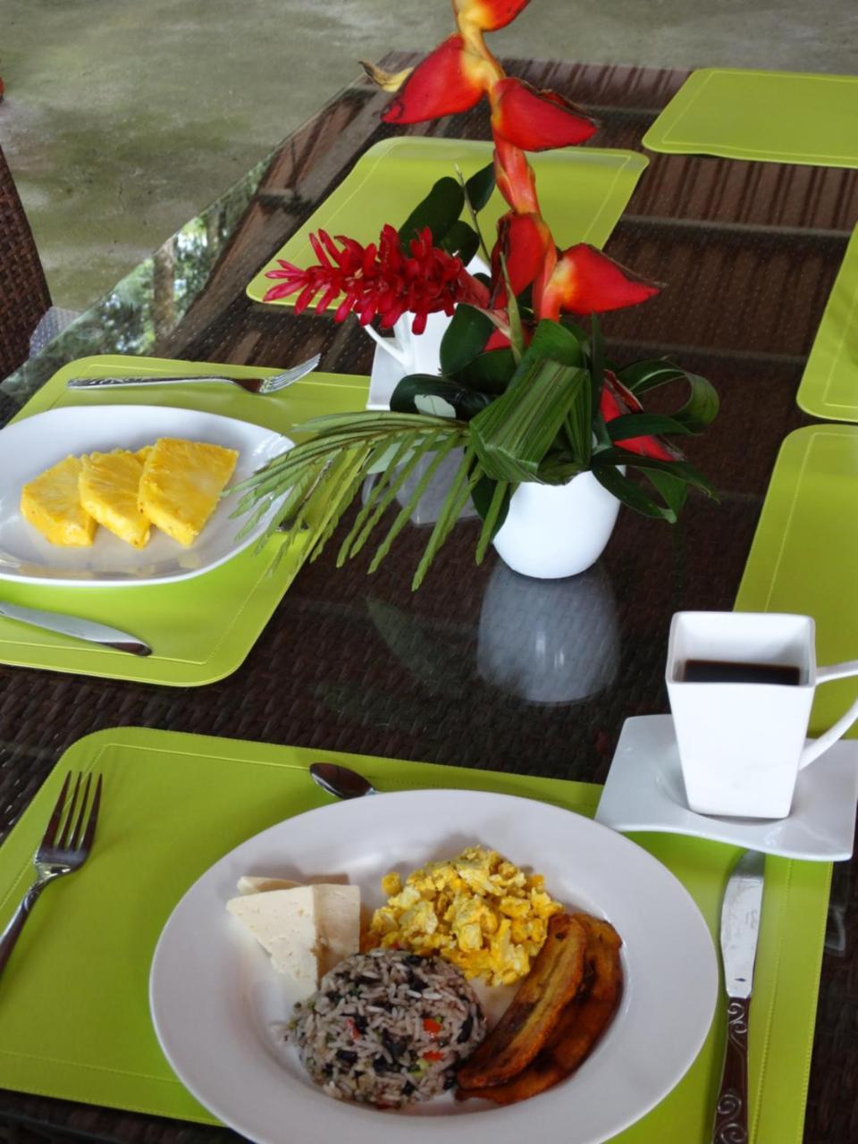 Horquetas River Lodge ซาราปิกี ภายนอก รูปภาพ