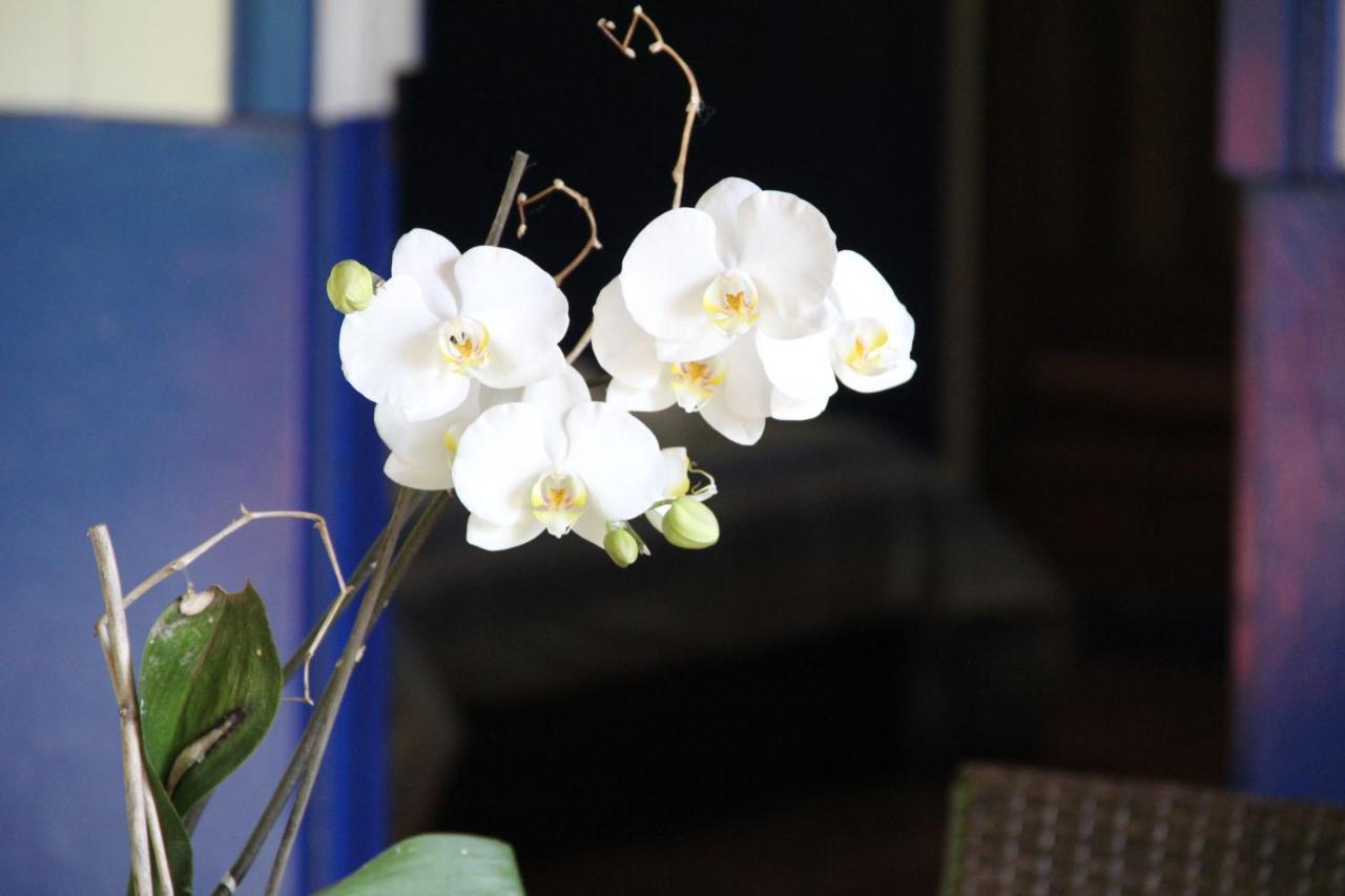 Horquetas River Lodge ซาราปิกี ภายนอก รูปภาพ