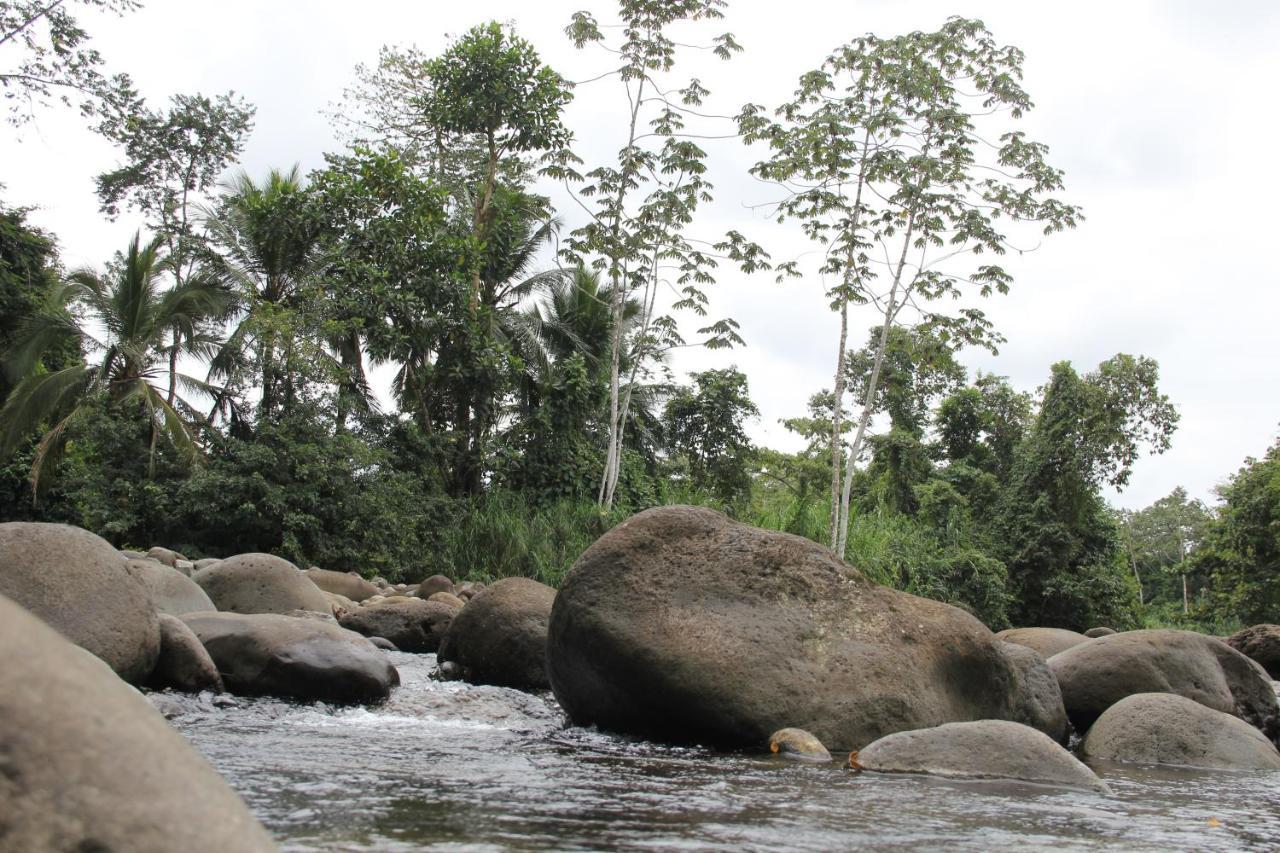 Horquetas River Lodge ซาราปิกี ภายนอก รูปภาพ