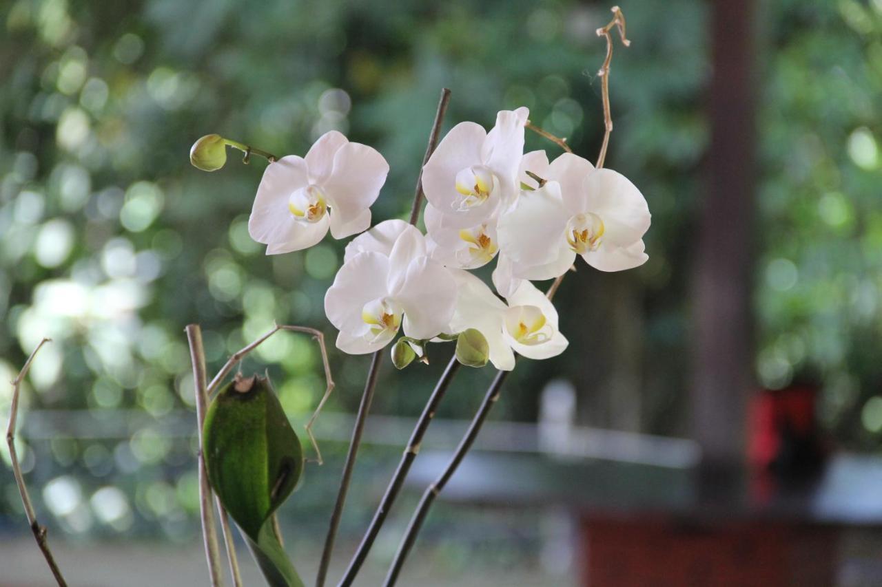 Horquetas River Lodge ซาราปิกี ภายนอก รูปภาพ