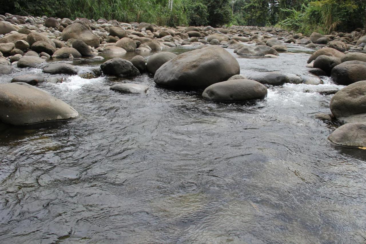 Horquetas River Lodge ซาราปิกี ภายนอก รูปภาพ
