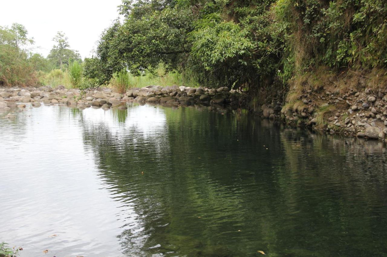 Horquetas River Lodge ซาราปิกี ภายนอก รูปภาพ