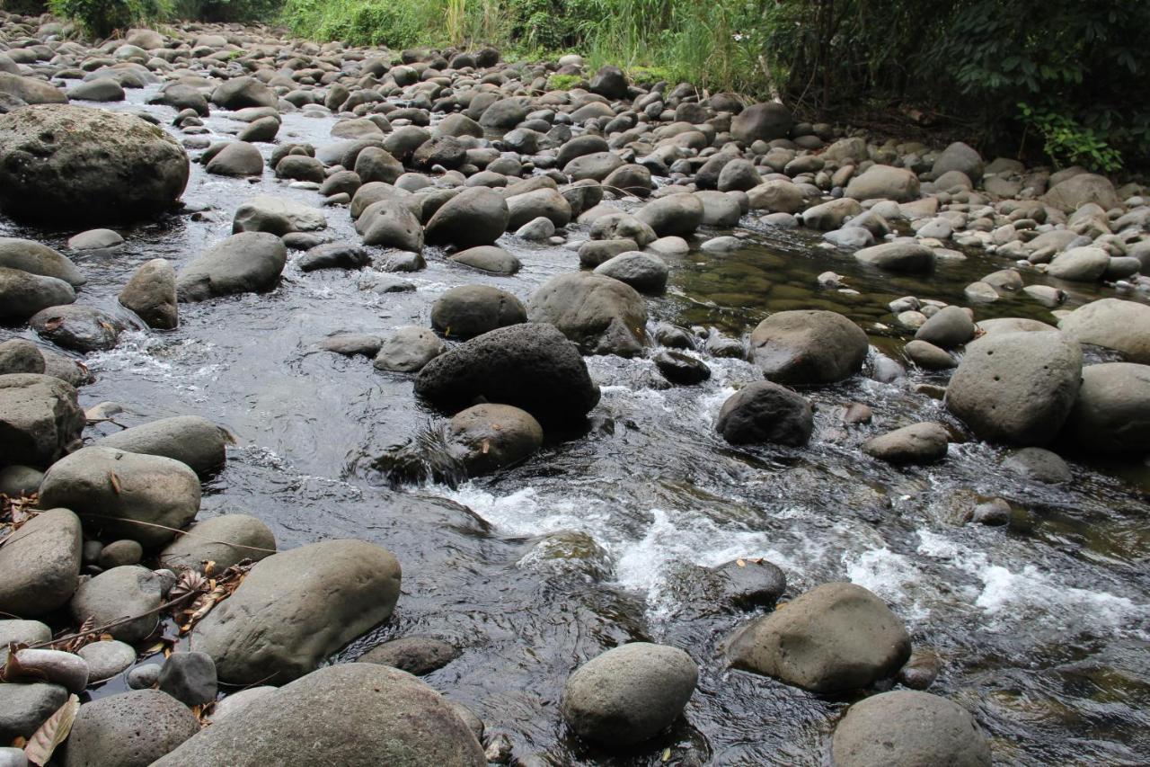 Horquetas River Lodge ซาราปิกี ภายนอก รูปภาพ