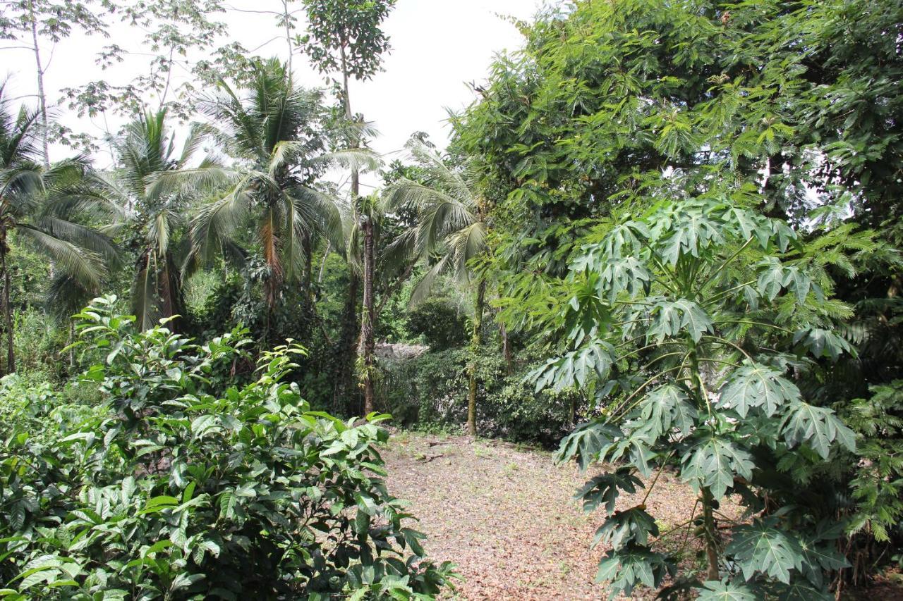 Horquetas River Lodge ซาราปิกี ภายนอก รูปภาพ