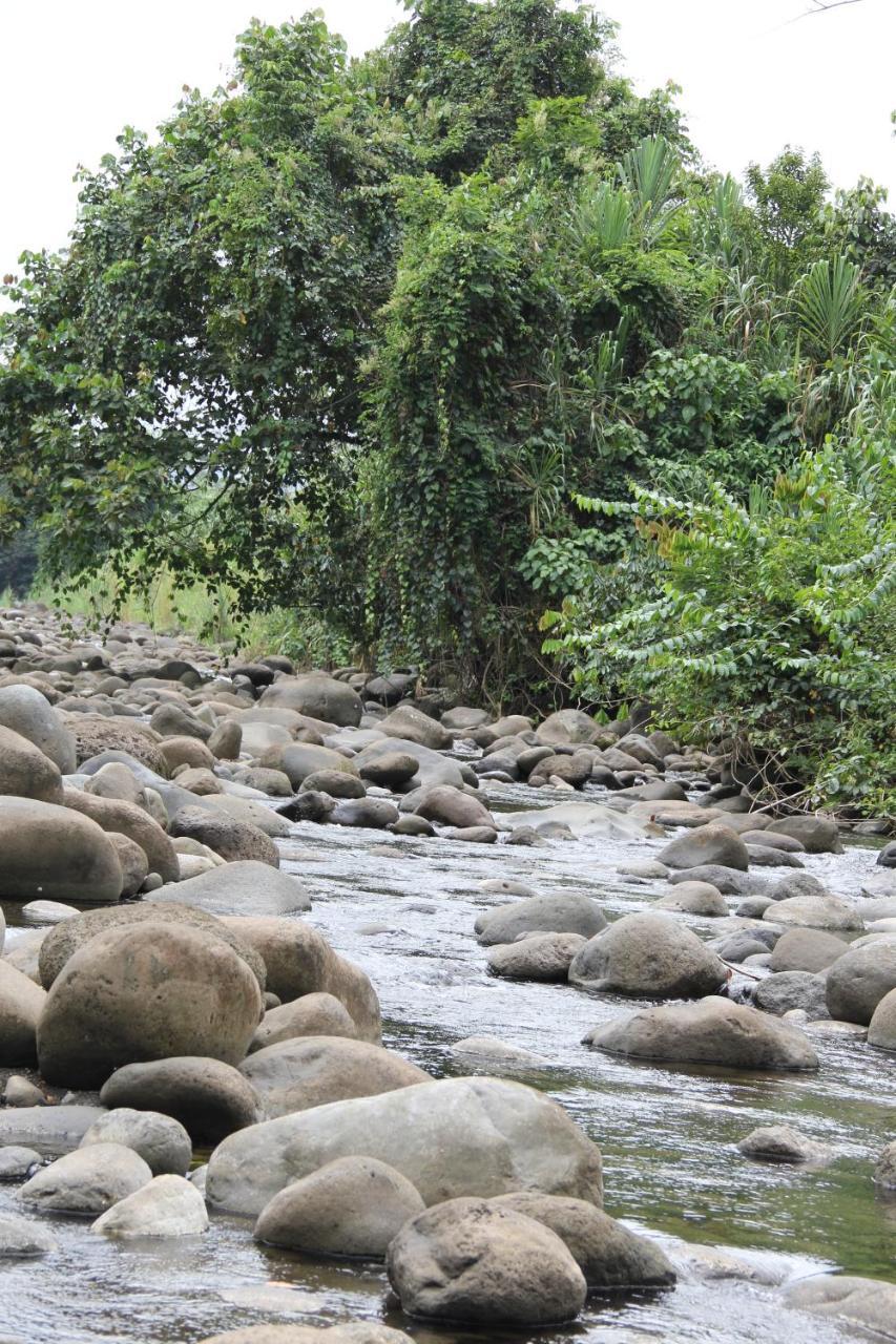 Horquetas River Lodge ซาราปิกี ภายนอก รูปภาพ