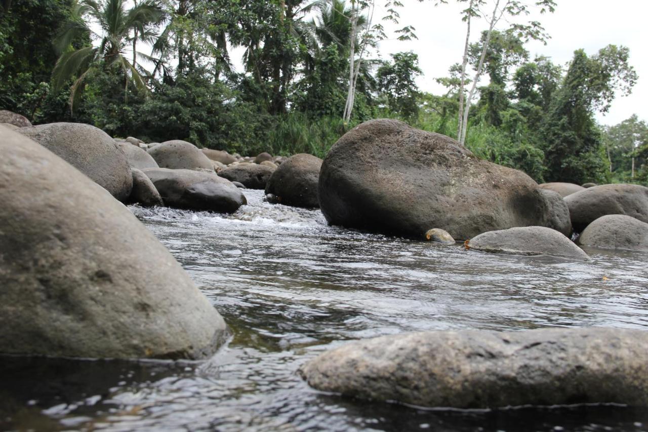 Horquetas River Lodge ซาราปิกี ภายนอก รูปภาพ