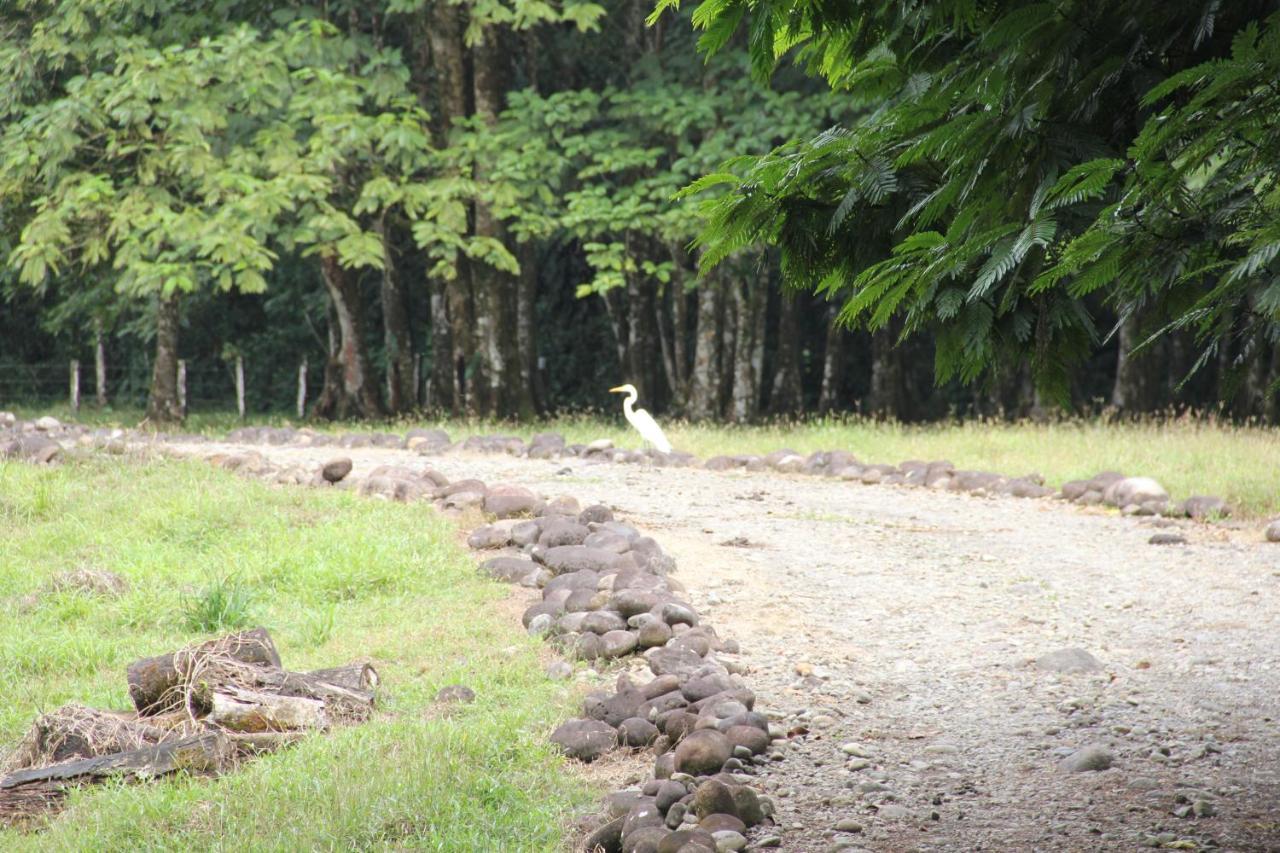 Horquetas River Lodge ซาราปิกี ภายนอก รูปภาพ