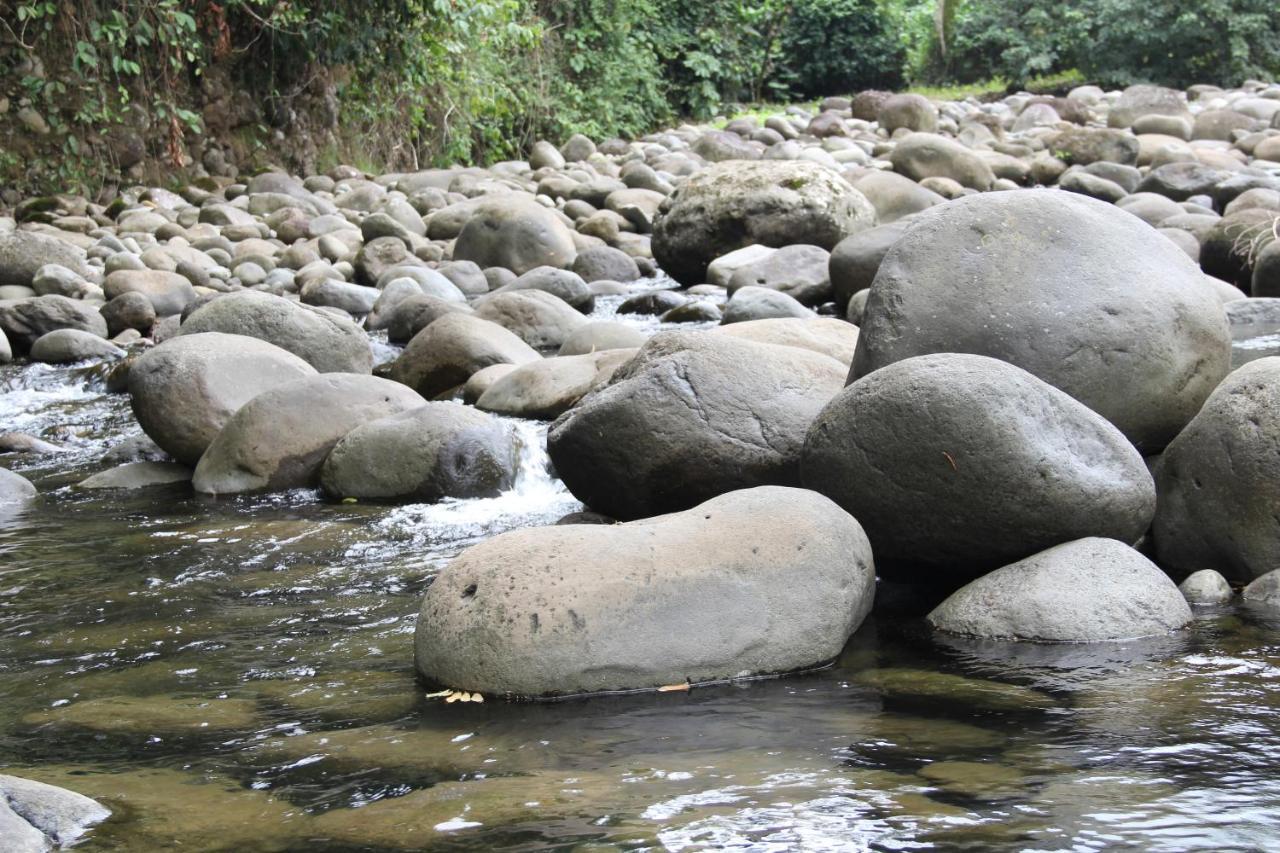 Horquetas River Lodge ซาราปิกี ภายนอก รูปภาพ